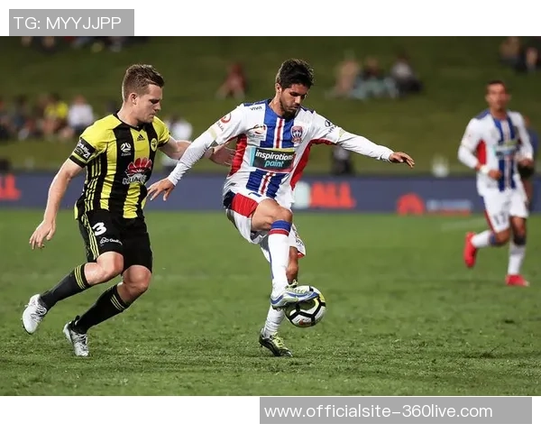 惠灵顿凤凰对阵中央海岸水手精彩直播全程回顾与分析